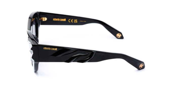 Окуляри сонцезахисні Roberto Cavalli SRC009V 0700 51/21 - Зображення 3