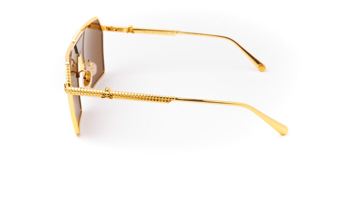 Окуляри сонцезахисні Philipp Plein SPP076V 400G 66/12 - Зображення 3